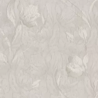 Image-product