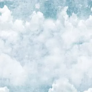 Image-product