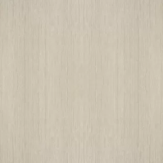 5555 Tapete Trussardi II 2017, 0.70 m