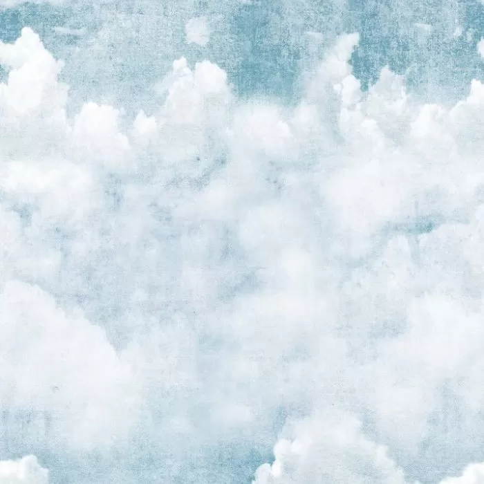 A42501 Blue Clouds panel vinyl 2.80*1.59m Grandeco  - img 1