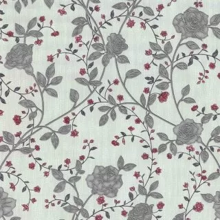 Image-product