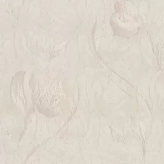 Image-product