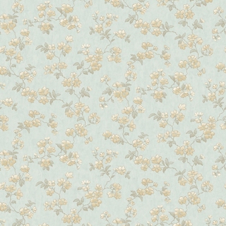 Image-product