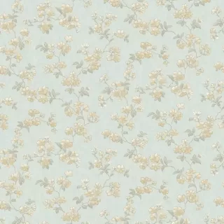 Image-product