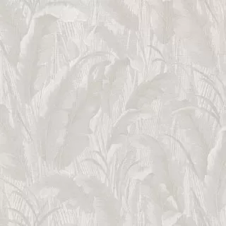 Image-product