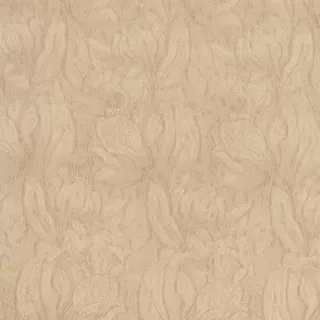 Image-product