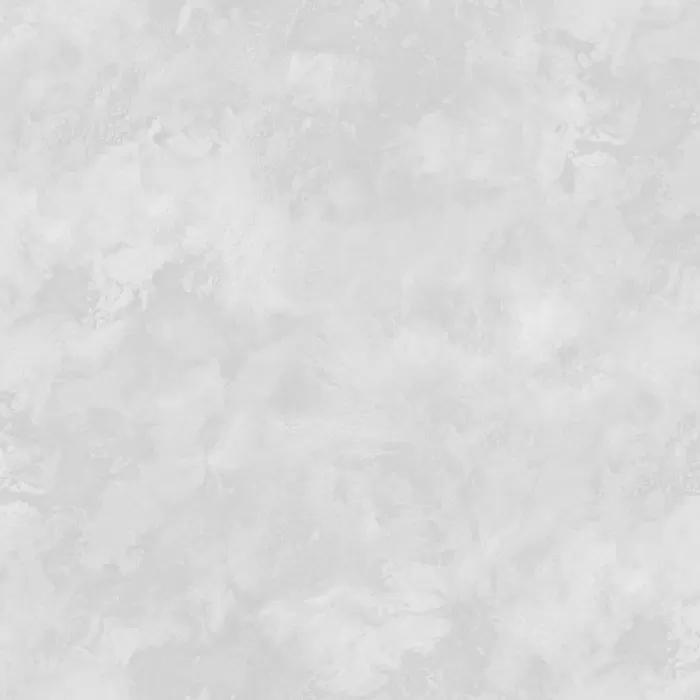 287587  # Tapete Odyssey 1,06 m - img 1