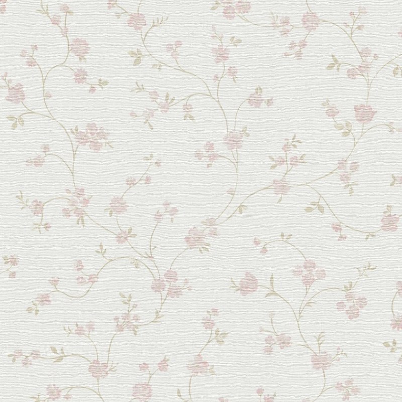 Image-product