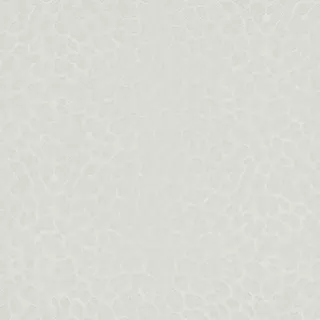 Image-product