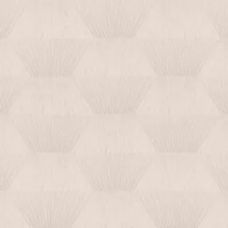 Image-product