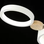 FL637-4  Lustra  NORDIC Flitz  D880*50 - img 10