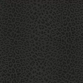 Image-product