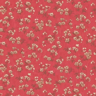 Image-product