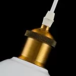 FL659-1P Lustra Siny Flitz 1x60w E27/H300-1200mm D260mm - img 7