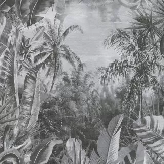 Image-product