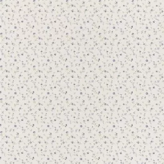 Image-product