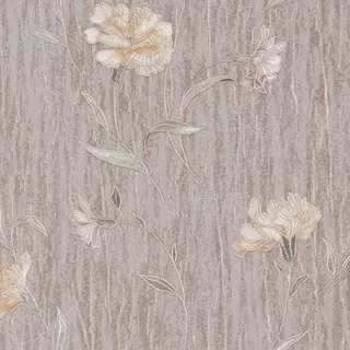 Image-product