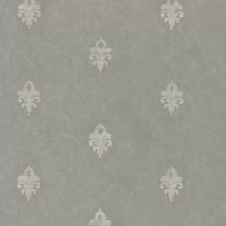 Image-product