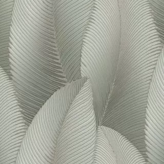 Image-product