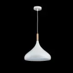 FL662-1P Lustra Bolic Flitz 1x60w E27/H450-1300mm D315mm - img 7