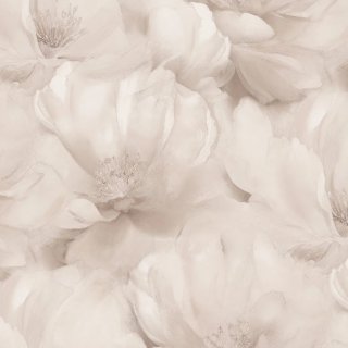 Image-product