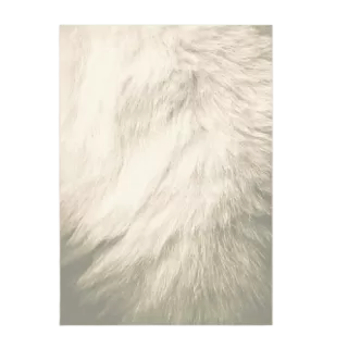 Image-product