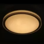 FL411-D45 Plafoniera Simple Flitz 1x24w LED/H10cm D45cm - img 2