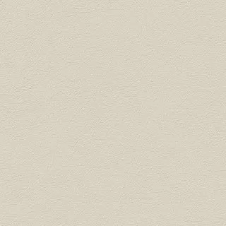UI1005 # Tapete Universe 1,06 m