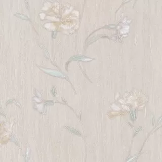 Image-product