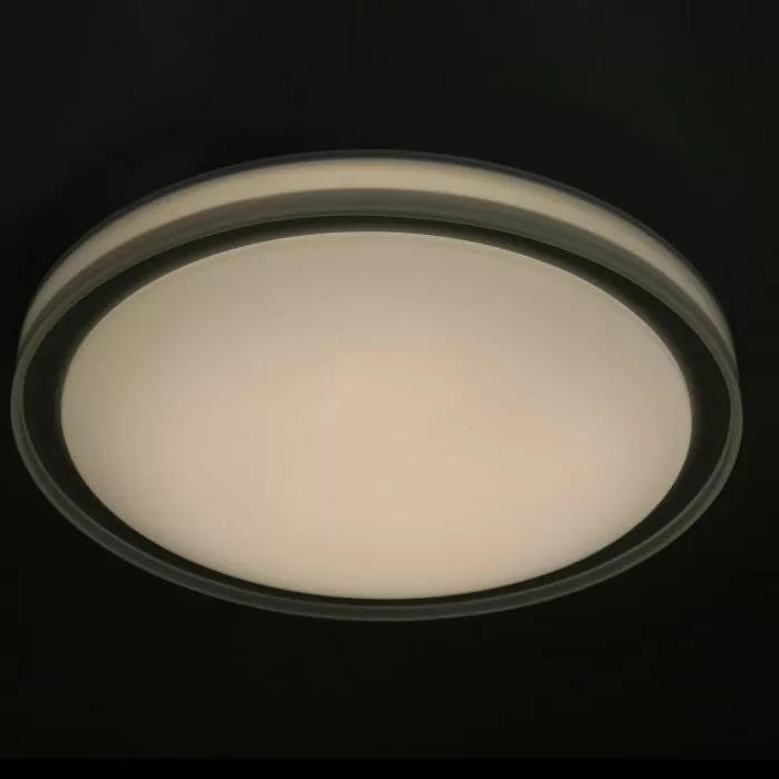FL411-D45 Plafoniera Simple Flitz 1x24w LED/H10cm D45cm - img 5