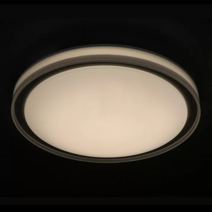FL411-D45 Plafoniera Simple Flitz 1x24w LED/H10cm D45cm - img 3