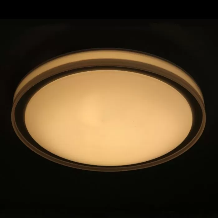 FL411-D45 Plafoniera Simple Flitz 1x24w LED/H10cm D45cm - img 2