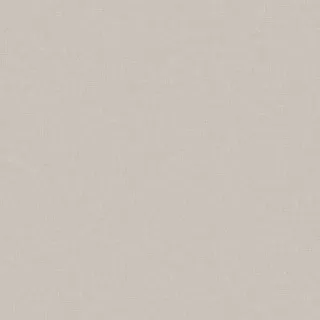 585508 Tapete Platina 1.06 m