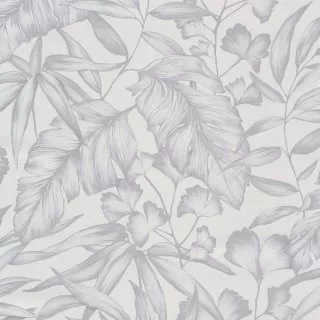 Image-product