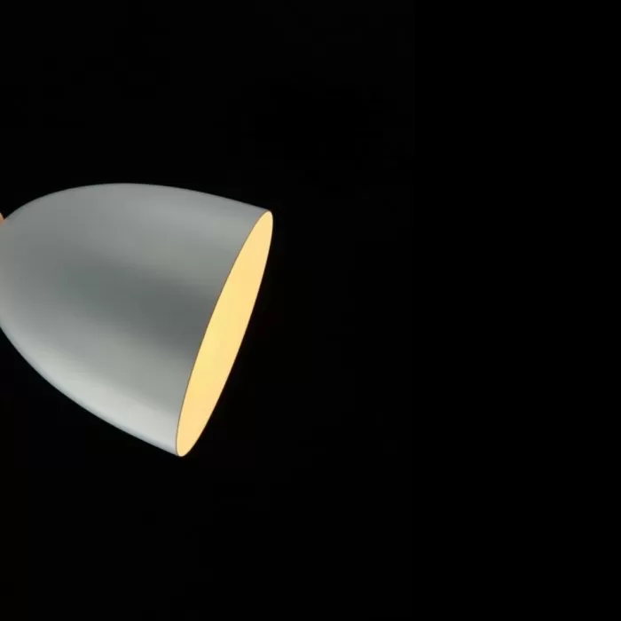 FL665-1P Lustra Molin Flitz 1x60w E27/H300-1100mm D140mm - img 9
