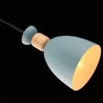 FL666-1P Lustra Molin Flitz 1x60w E27/H300-1100mm D140mm - img 9