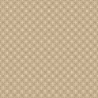 20579 Champagne/Taupe Covor Floorlux 80 x 150 