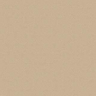 20579 Champagne/Taupe Covor Floorlux 80 x 150 