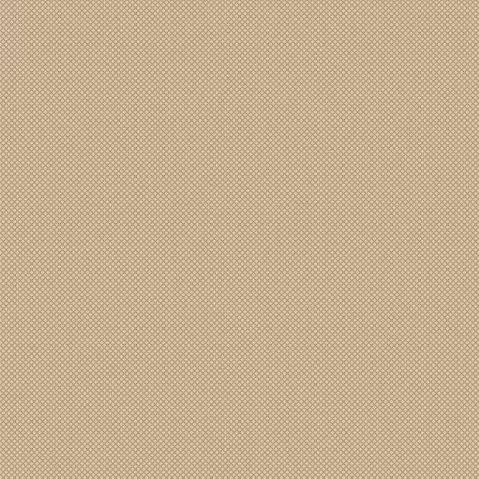 20579 Champagne/Taupe Covor Floorlux 80 x 150  - img 1