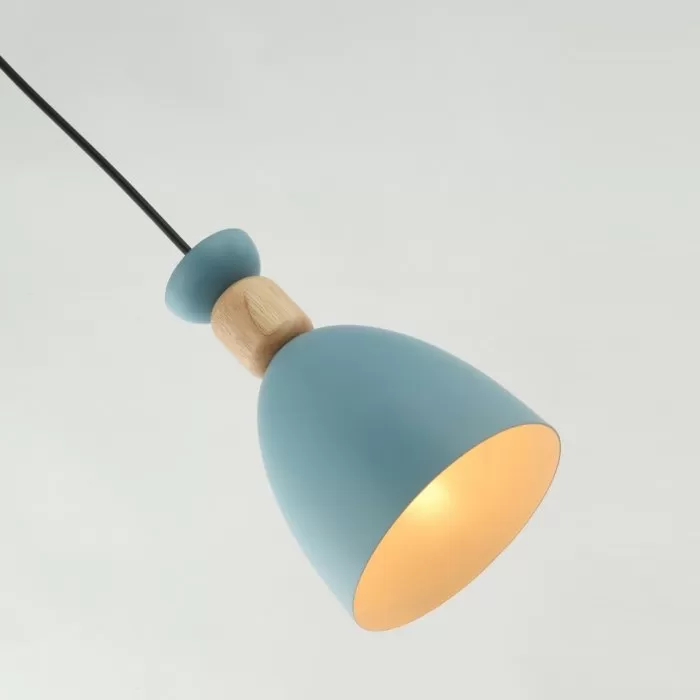 FL666-1P Lustra Molin Flitz 1x60w E27/H300-1100mm D140mm - img 3