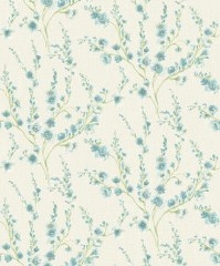 Image-product