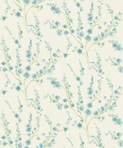 Image-product