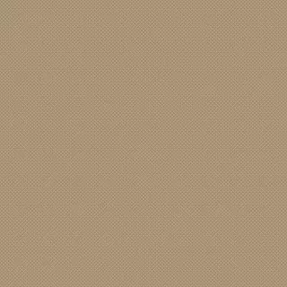 20579 Taupe/Champagne Covor Floorlux 80 x 150 