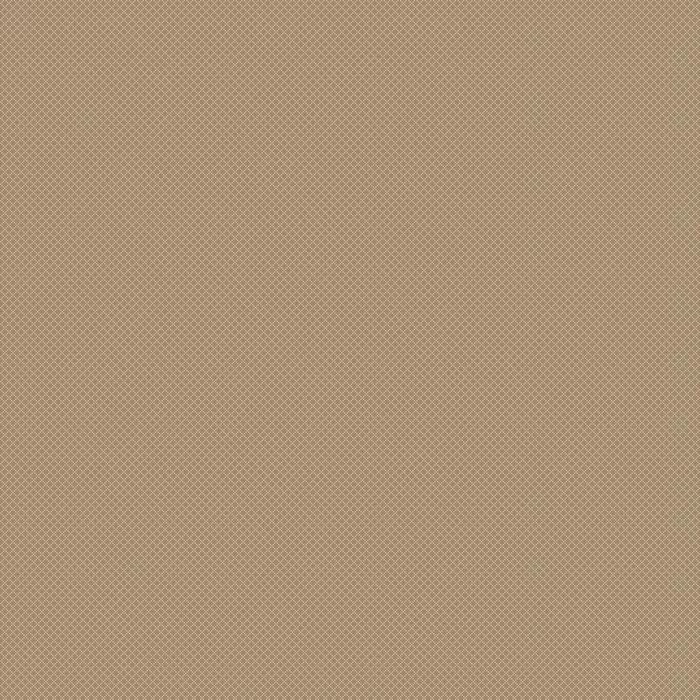 20579 Taupe/Champagne Covor Floorlux 80 x 150  - img 1