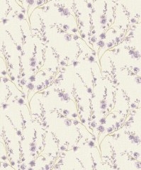 Image-product