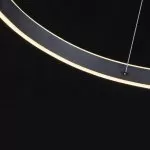 FL6032-1P Lustra Helix BK Flitz 610*H1000 - img 11