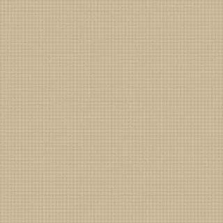 20580 Champagne/Taupe Covor Floorlux 80 x 150 