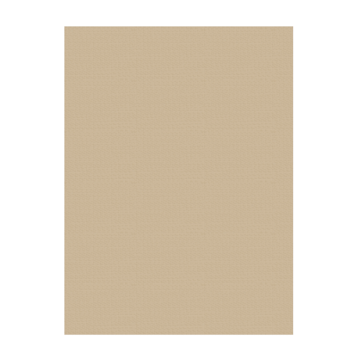 20580 Champagne/Taupe Covor Floorlux 80 x 150  - img 2