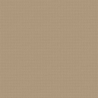 20580 Taupe/Champagne Covor Floorlux 80 x 150 
