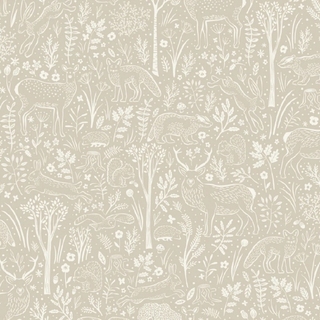 Image-product